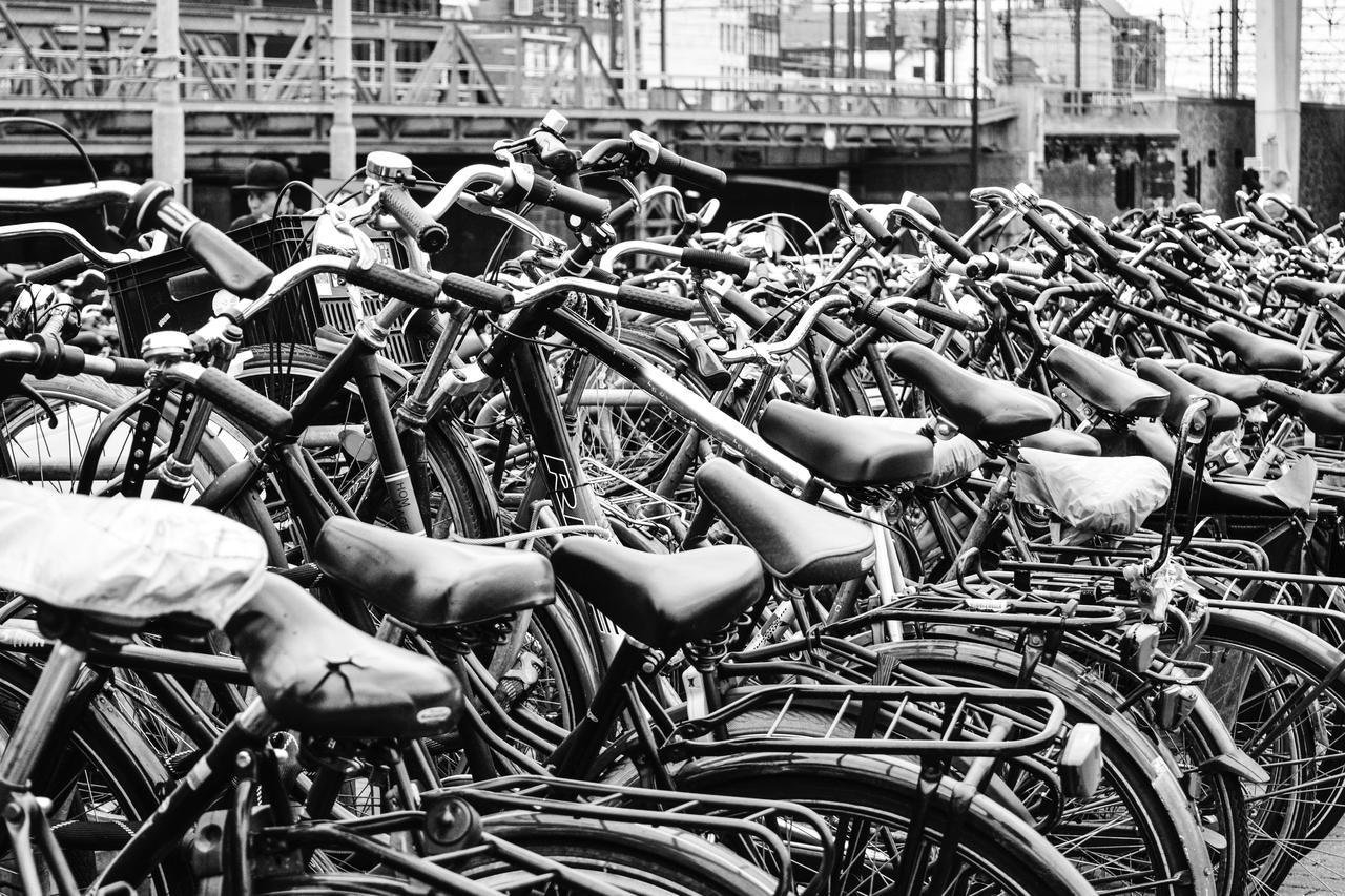 Quentin Zoo Hotel Amsterdam Exteriör bild